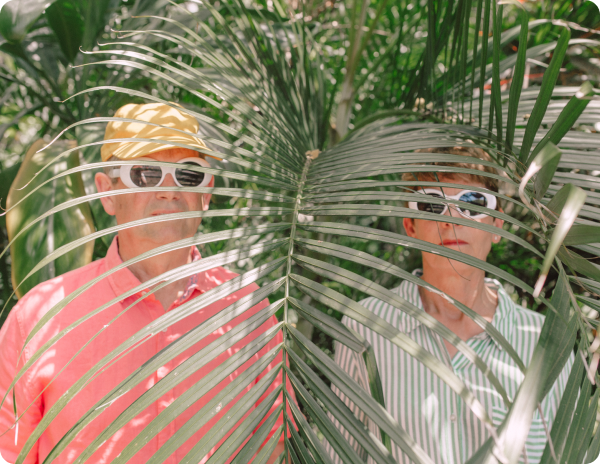 two people behind a palm tree in sun glasses